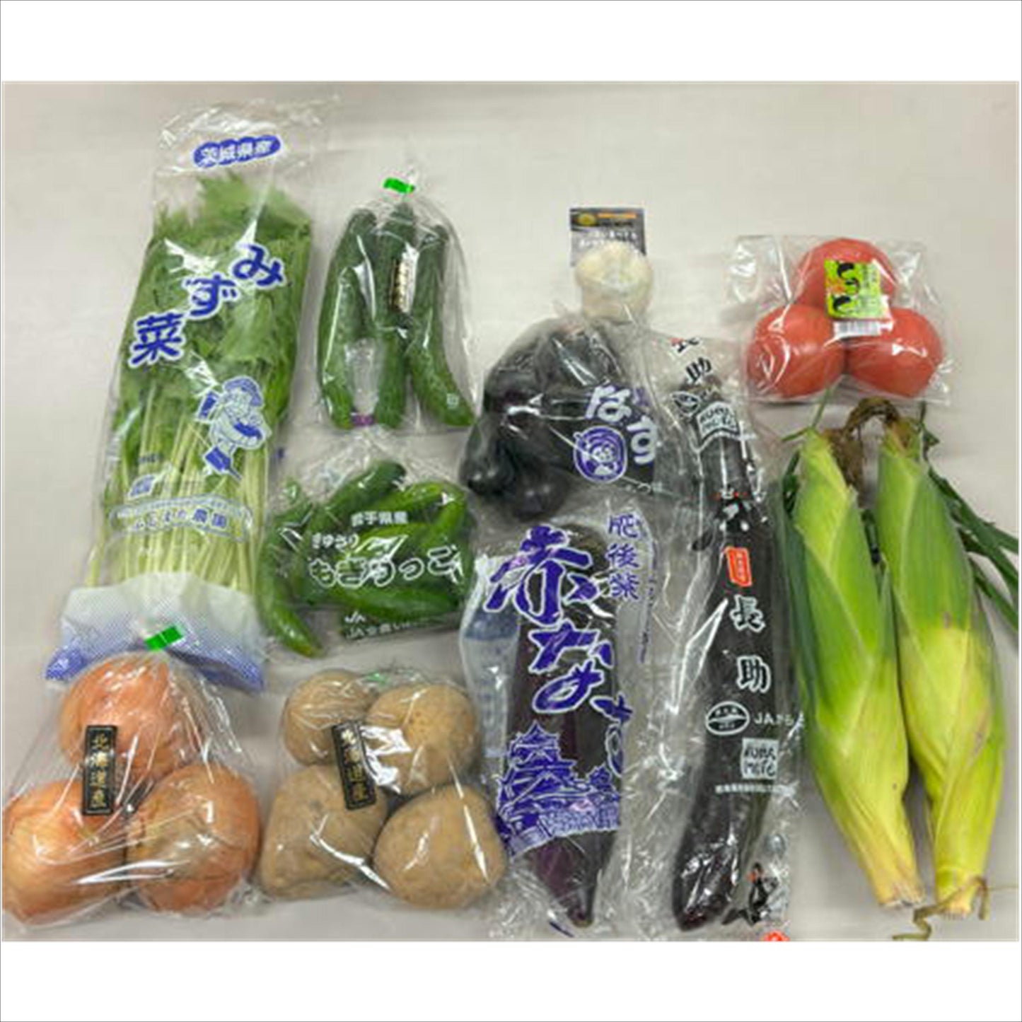 大田市場のおまかせ野菜セット (厳選11種)